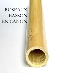 ROSEAUX DE BASSON EN CANON - kg