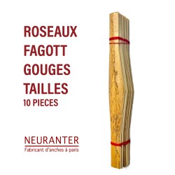 ROSEAUX GOUGES TAILLES BASSON - 10 pieces