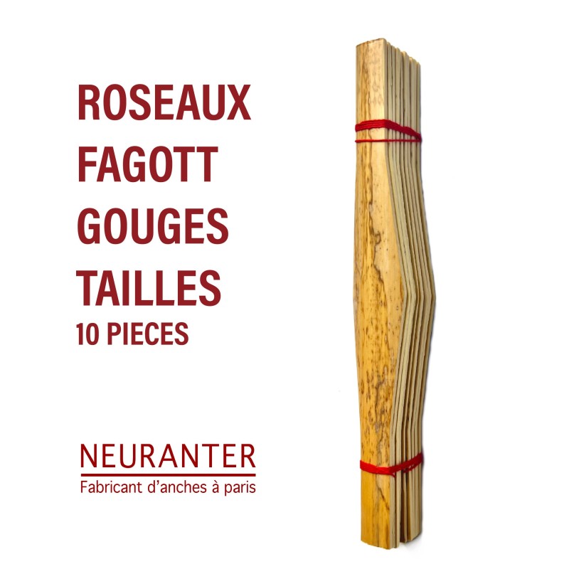 ROSEAUX GOUGES TAILLES BASSON - 10 pieces
