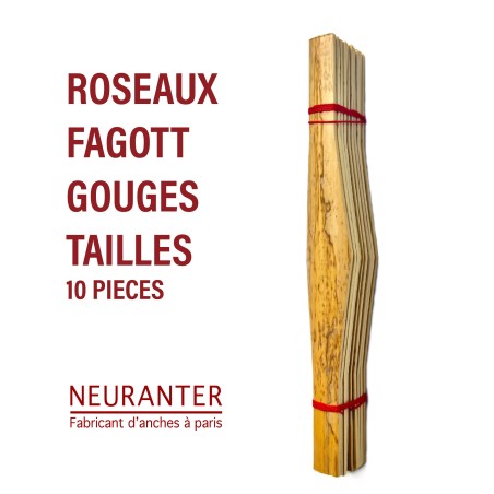 ROSEAUX GOUGES TAILLES BASSON - 10 pieces